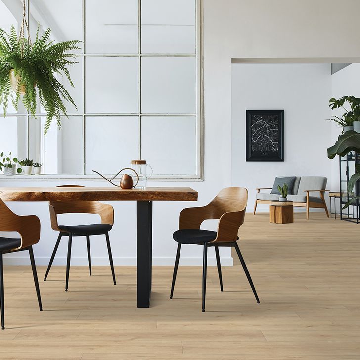 Beaulieu Canada builder,hospitality,pro,residential,senior-living,workspace,all Laminate Barbarossa Xtra 1734