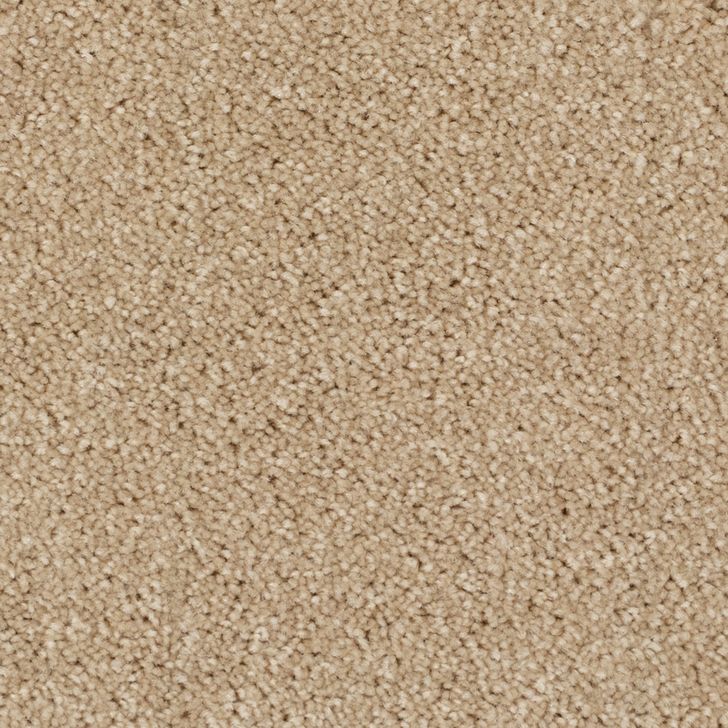 Beaulieu Canada builder,pro,residential,all Carpet Minotaur a4525