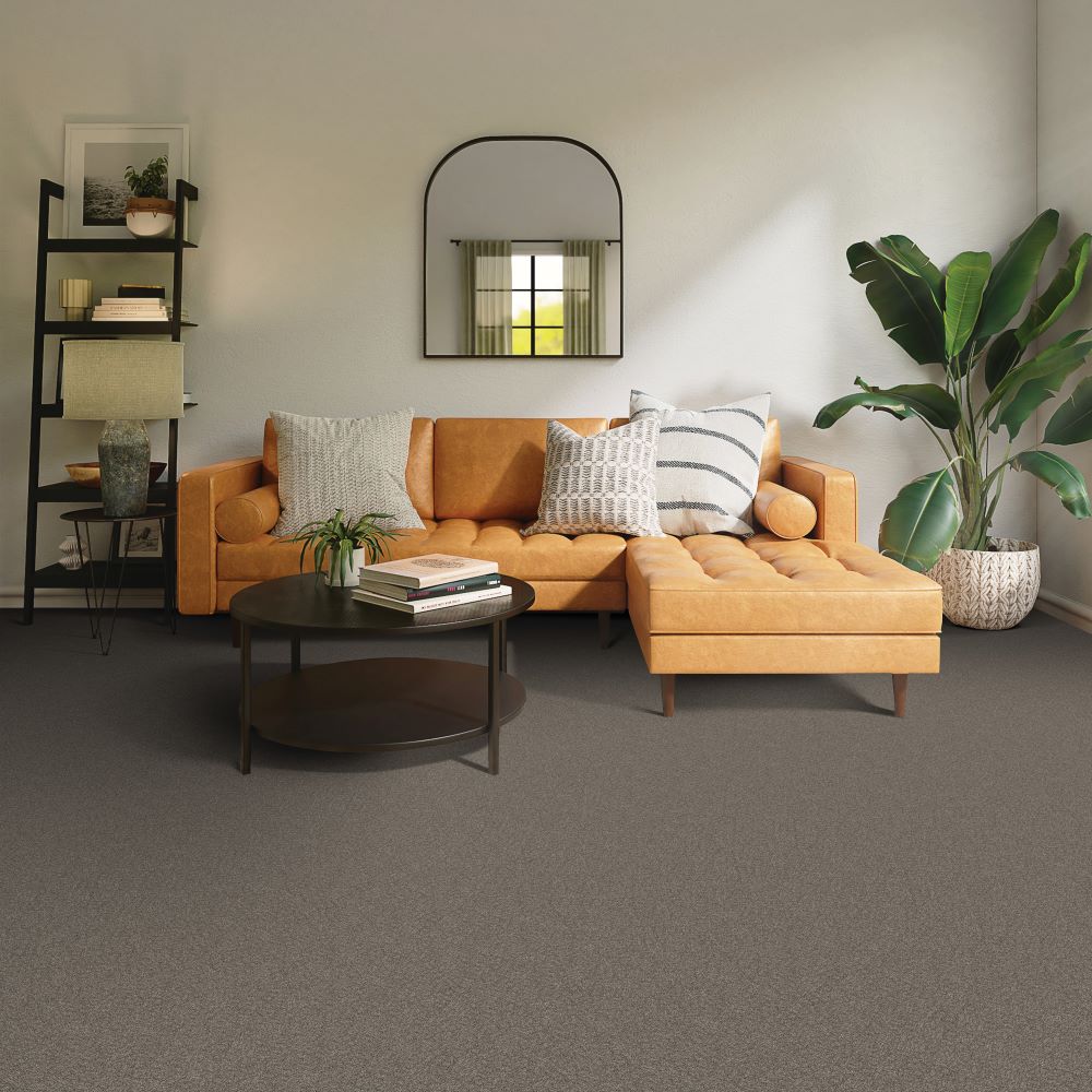 Beaulieu Canada builder,pro,residential,all Carpet Serene Ambiance j4756