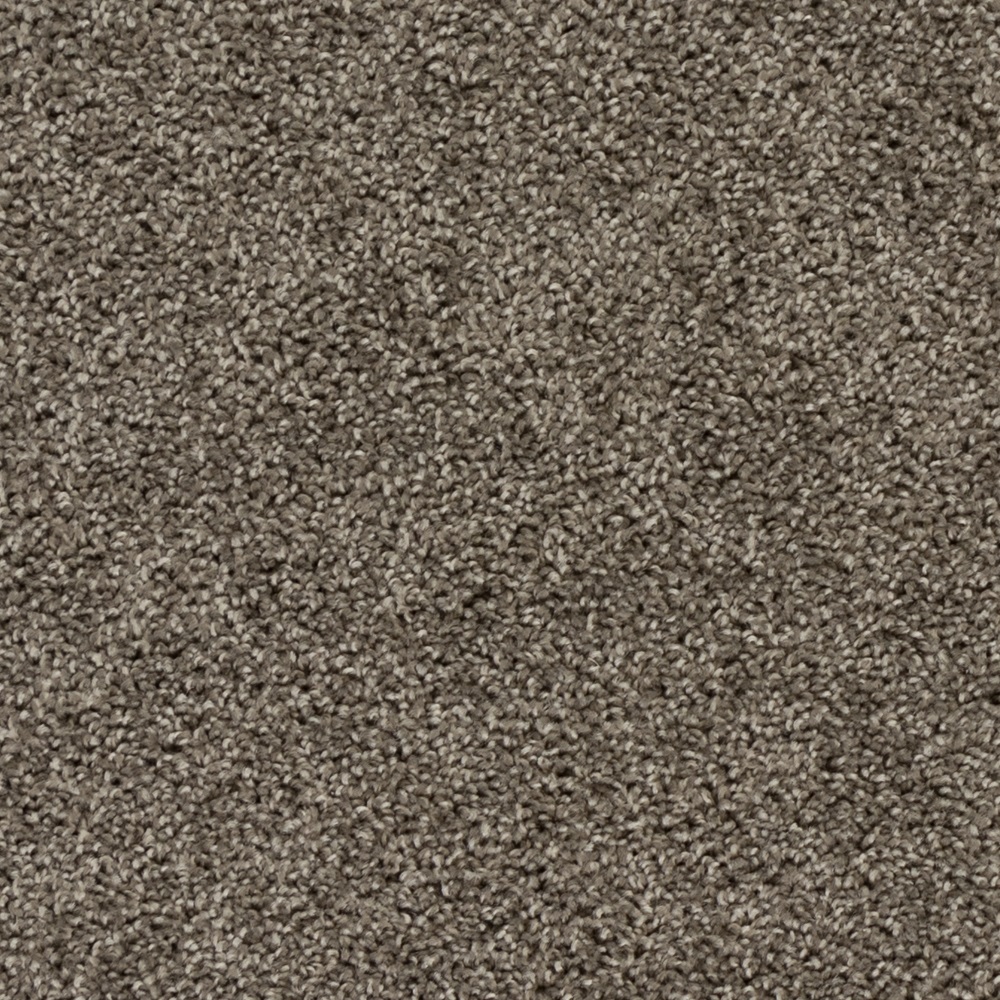 Beaulieu Canada builder,pro,residential,all Carpet High Five a4920