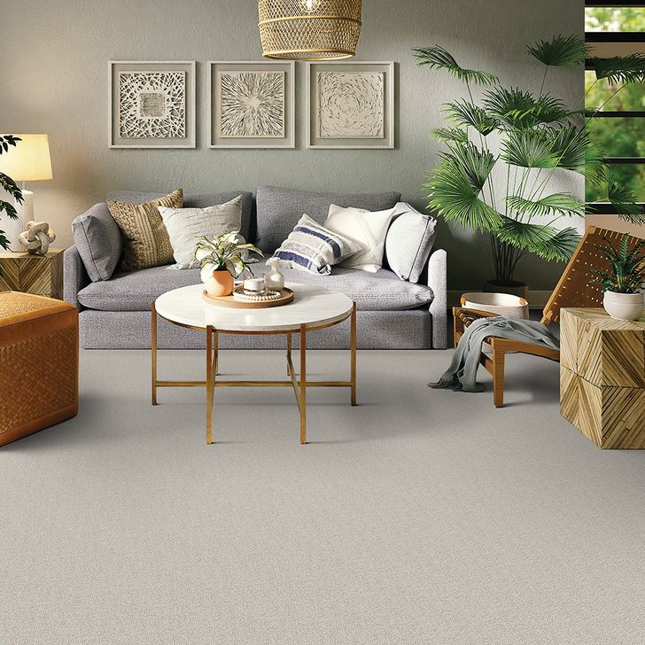 Beaulieu Canada residential,all Carpet Nature's Connection j5801