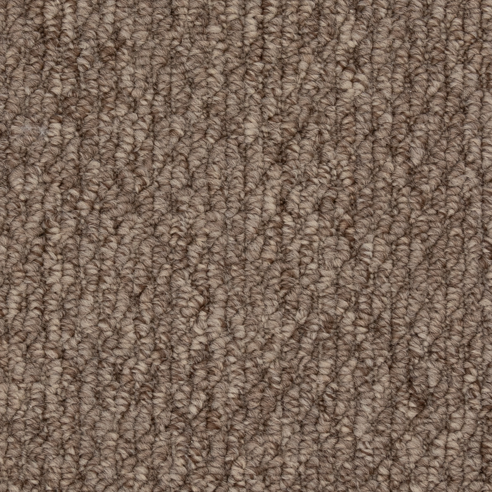 Beaulieu Canada builder,pro,residential,all Carpet Cupido II 6436