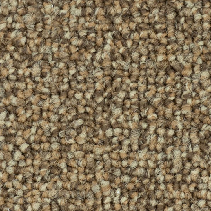 Beaulieu Canada hospitality,pro,residential,workspace,all Carpet Axis II 28 j8233