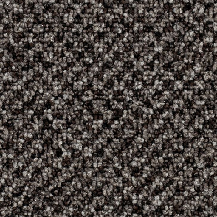 Beaulieu Canada hospitality,pro,property-management,residential,workspace,all Carpet Honor j8729