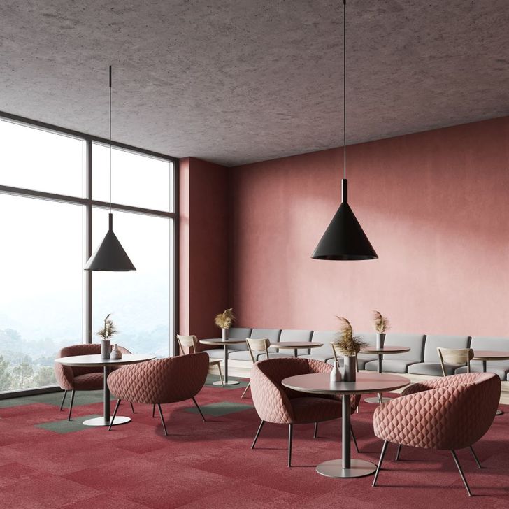 Beaulieu Canada Pro Tapis Haze cp t08c