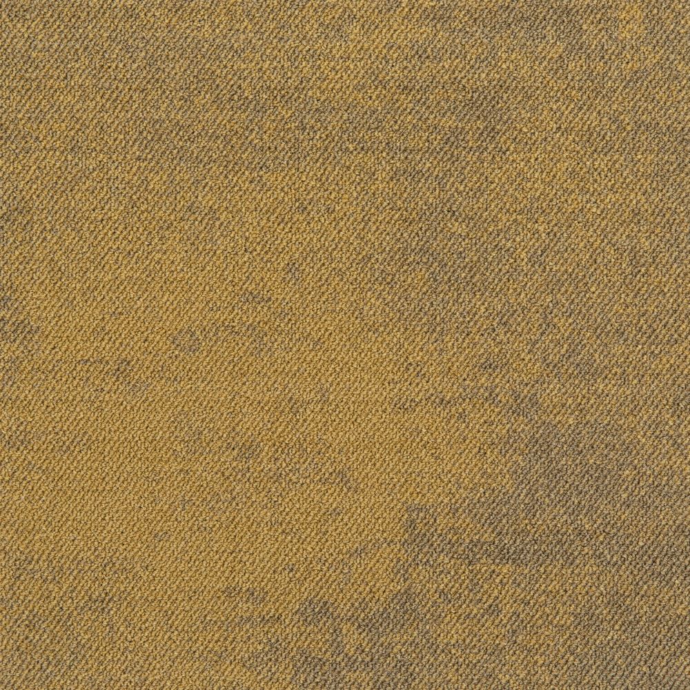 Beaulieu Canada hospitality,pro,workspace,all Carpet Haze Lp t08l