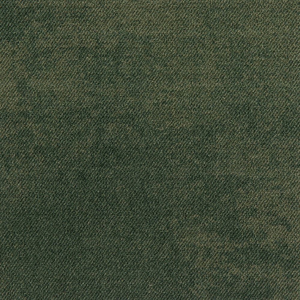 Beaulieu Canada hospitality,pro,workspace,all Carpet Haze Lp t08l