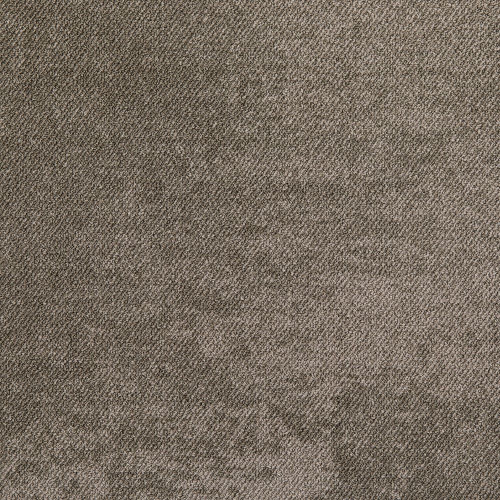 Beaulieu Canada hospitality,pro,workspace,all Carpet Haze Lp t08l