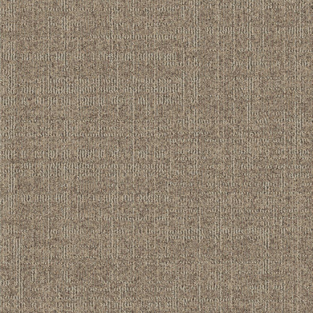 Beaulieu Canada hospitality,pro,workspace,all Carpet Dune t09