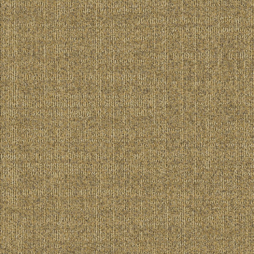 Beaulieu Canada hospitality,pro,workspace,all Carpet Dune t09