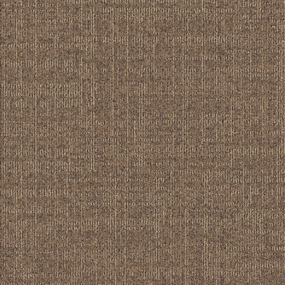 Beaulieu Canada hospitality,pro,workspace,all Carpet Dune t09