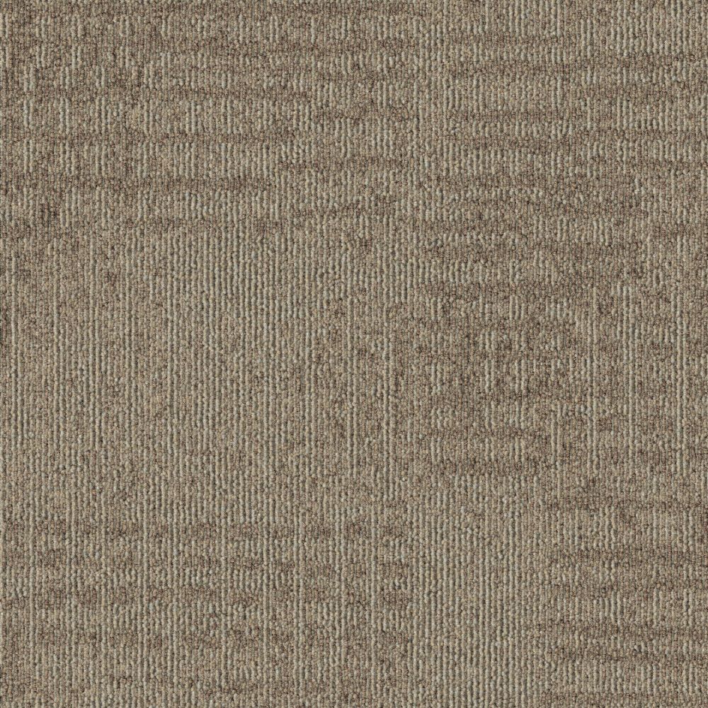Beaulieu Canada hospitality,pro,workspace,all Carpet Meadow t10