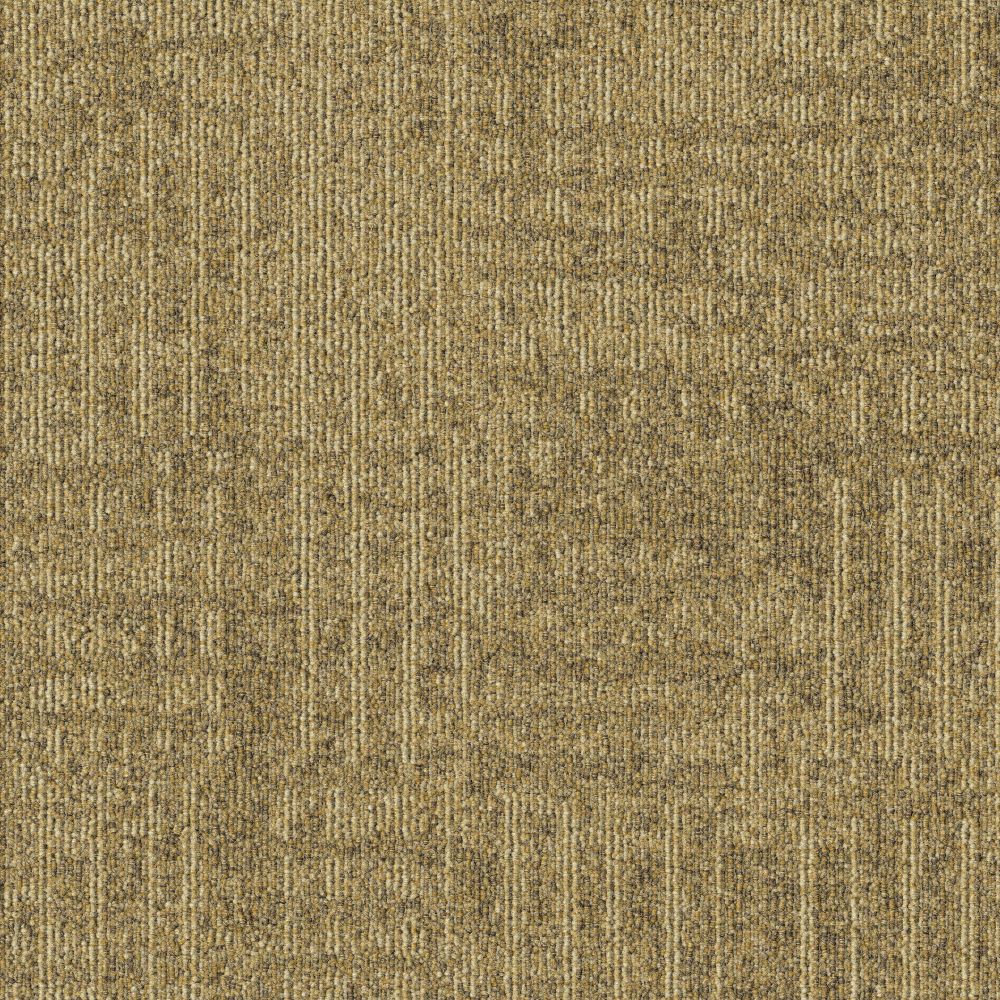 Beaulieu Canada hospitality,pro,workspace,all Carpet Meadow t10