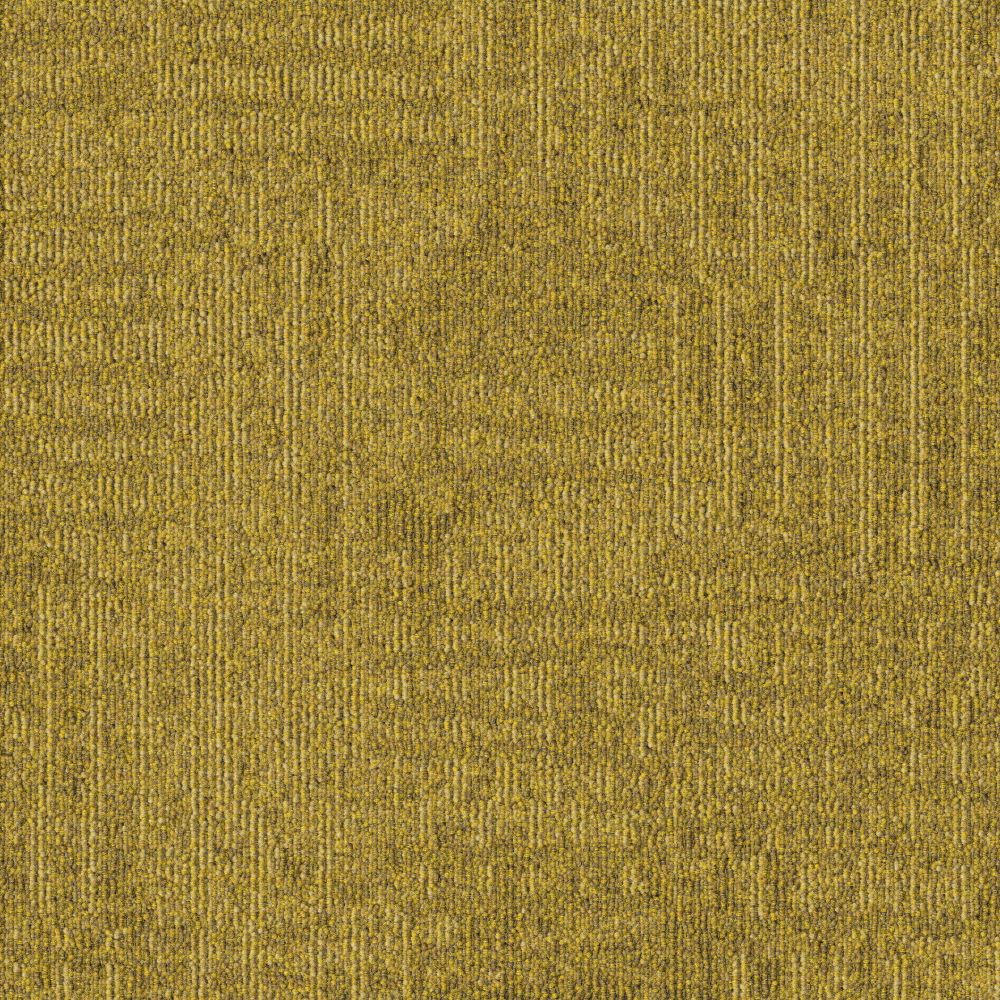Beaulieu Canada hospitality,pro,workspace,all Carpet Meadow t10