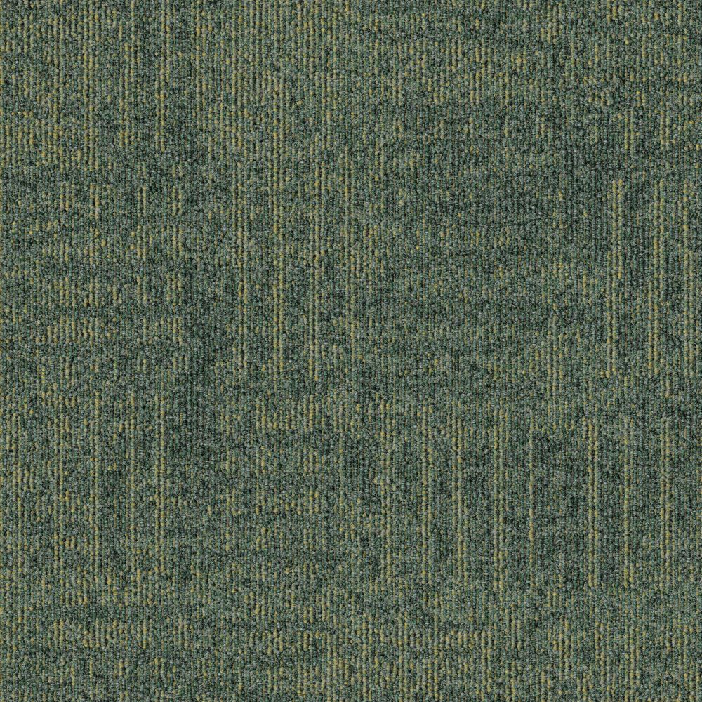 Beaulieu Canada hospitality,pro,workspace,all Carpet Meadow t10