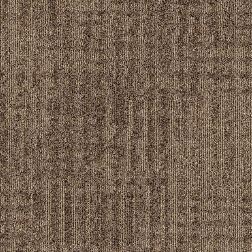 Beaulieu Canada hospitality,pro,workspace,all Carpet Meadow t10