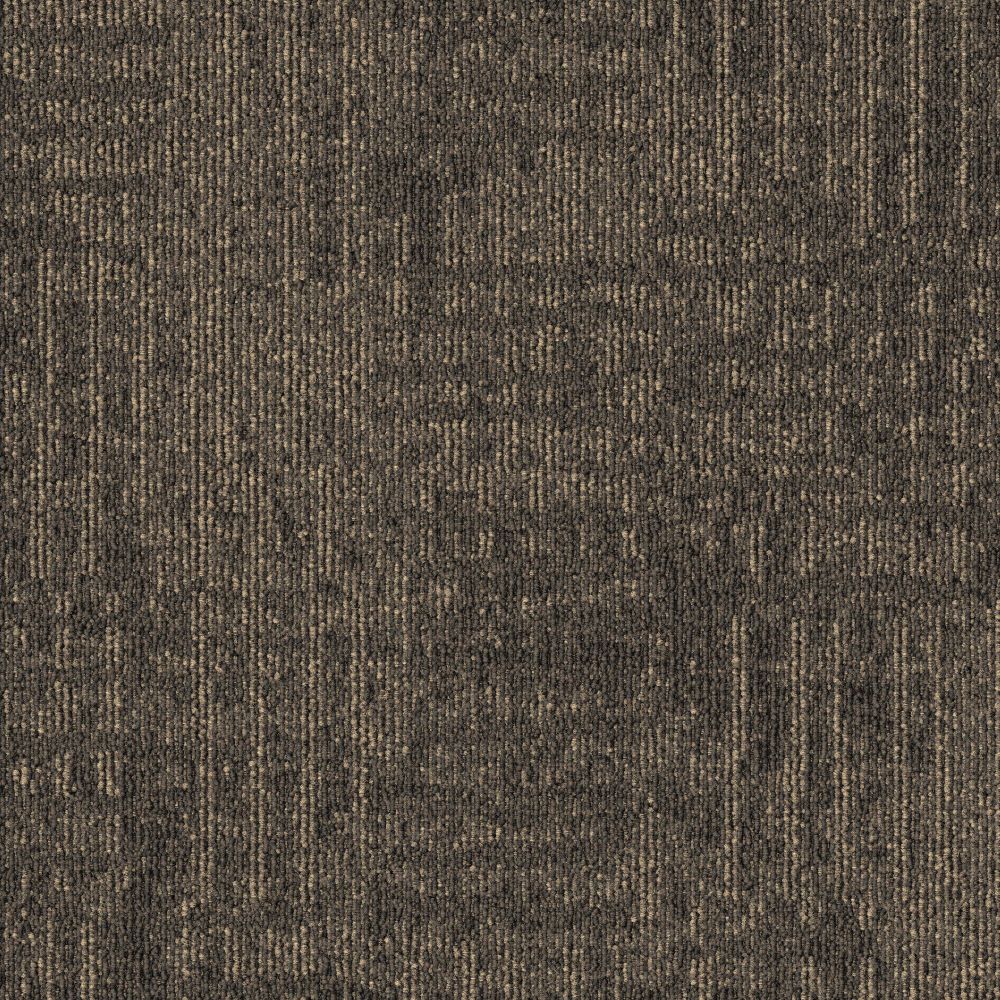 Beaulieu Canada hospitality,pro,workspace,all Carpet Meadow t10