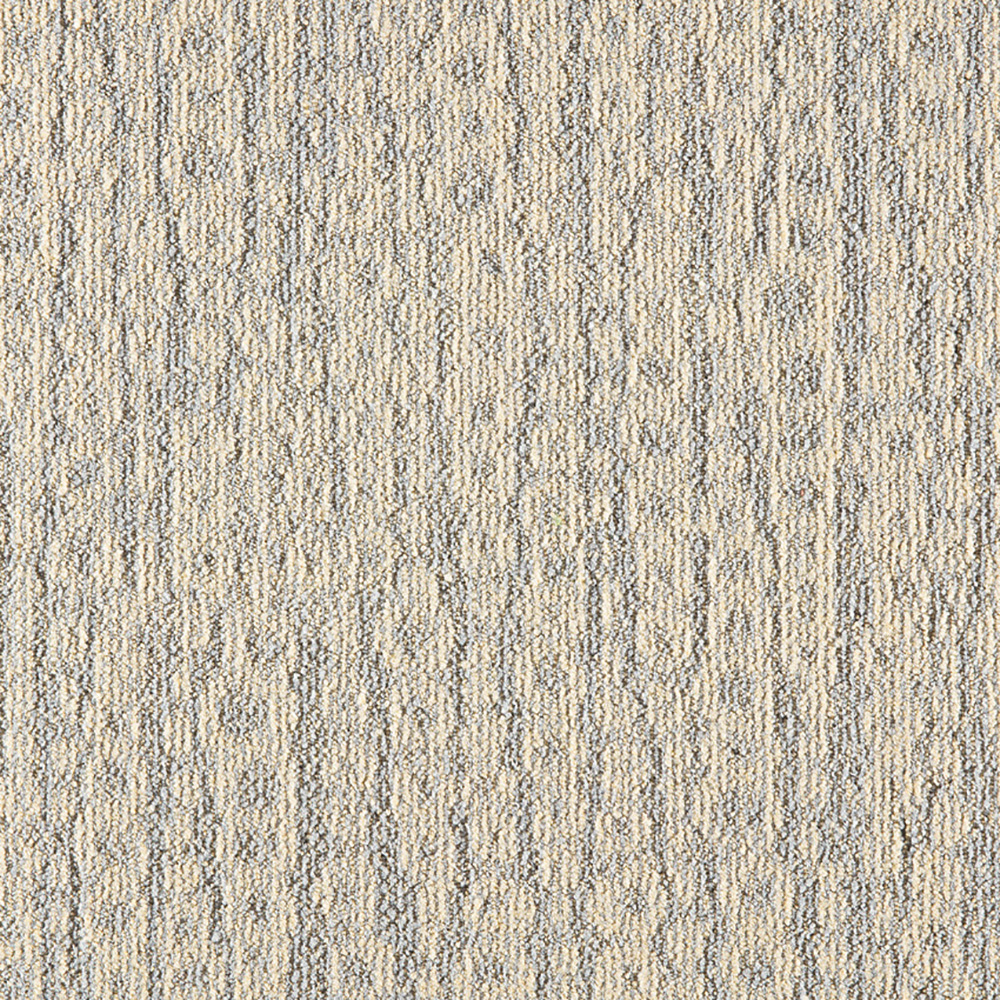 Beaulieu Canada hospitality,pro,workspace,all Carpet Mezzo t18