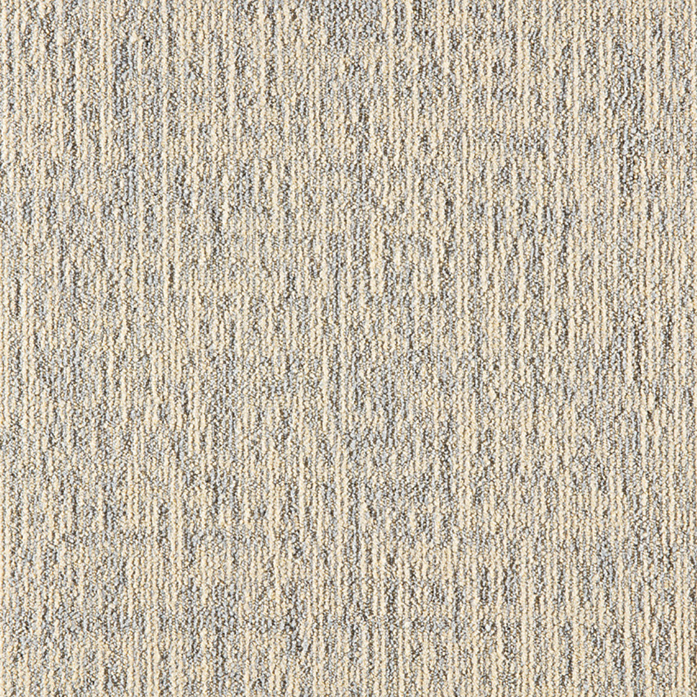 Beaulieu Canada builder,pro,workspace,all Carpet Etch t19