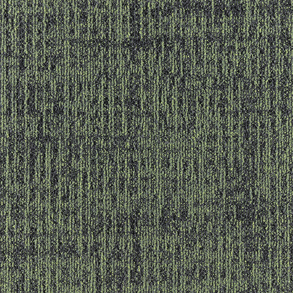 Beaulieu Canada builder,pro,workspace,all Carpet Etch t19