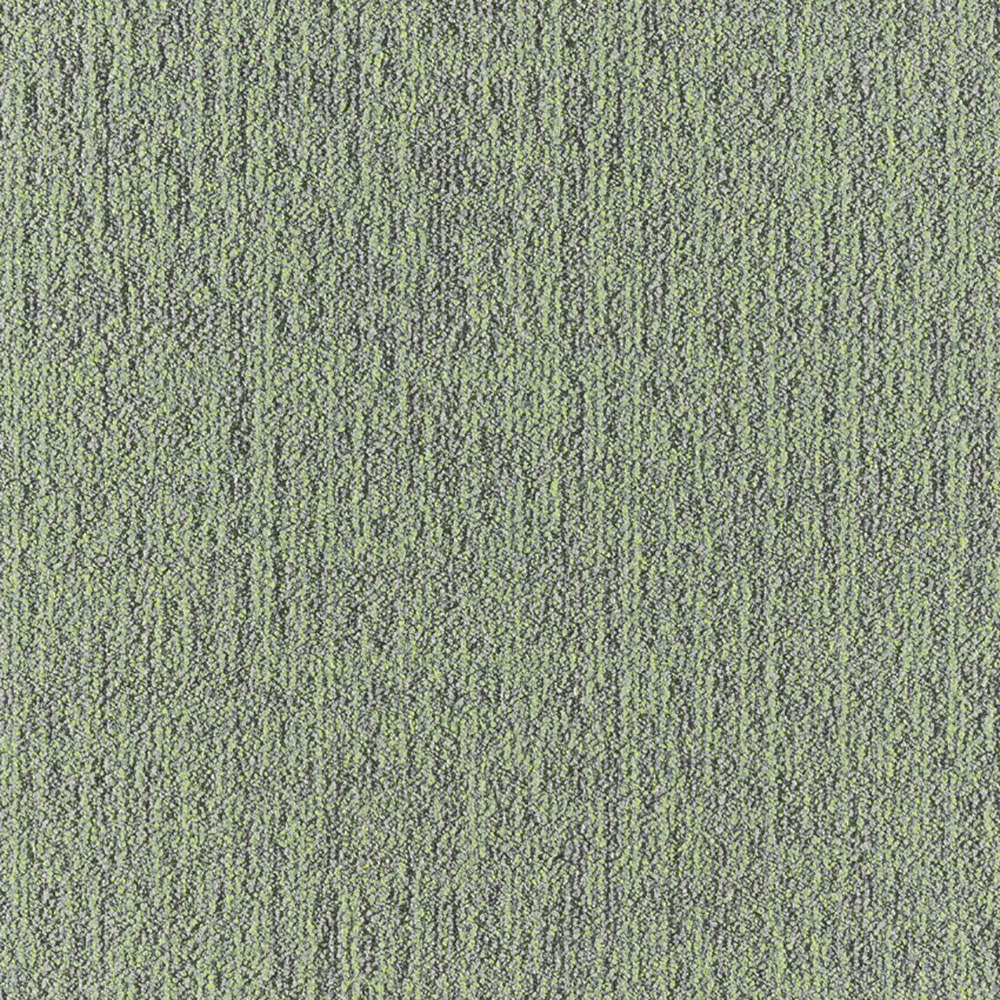 Beaulieu Canada builder,pro,workspace,all Carpet Etch t19