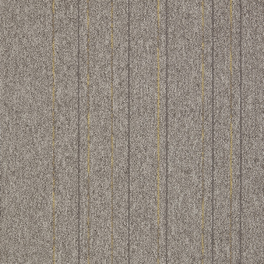 Beaulieu Canada builder,hospitality,pro,property-management,senior-living,workspace,all Carpet First Straightline t25