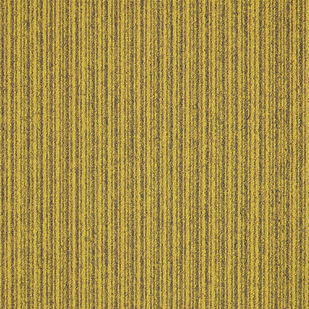 Beaulieu Canada builder,hospitality,pro,property-management,senior-living,workspace,all Carpet First Streamline t26