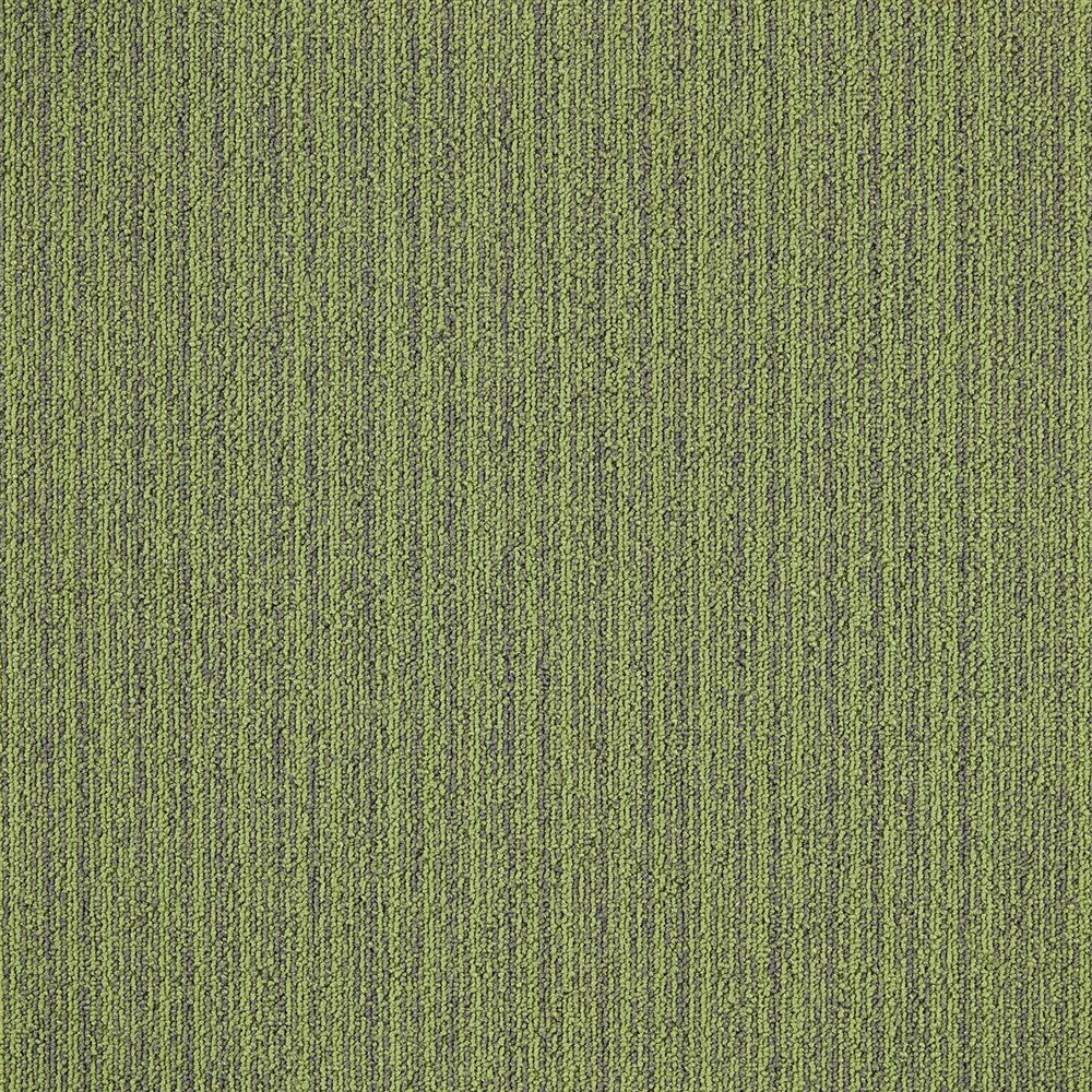 Beaulieu Canada builder,hospitality,pro,property-management,senior-living,workspace,all Carpet First Streamline t26