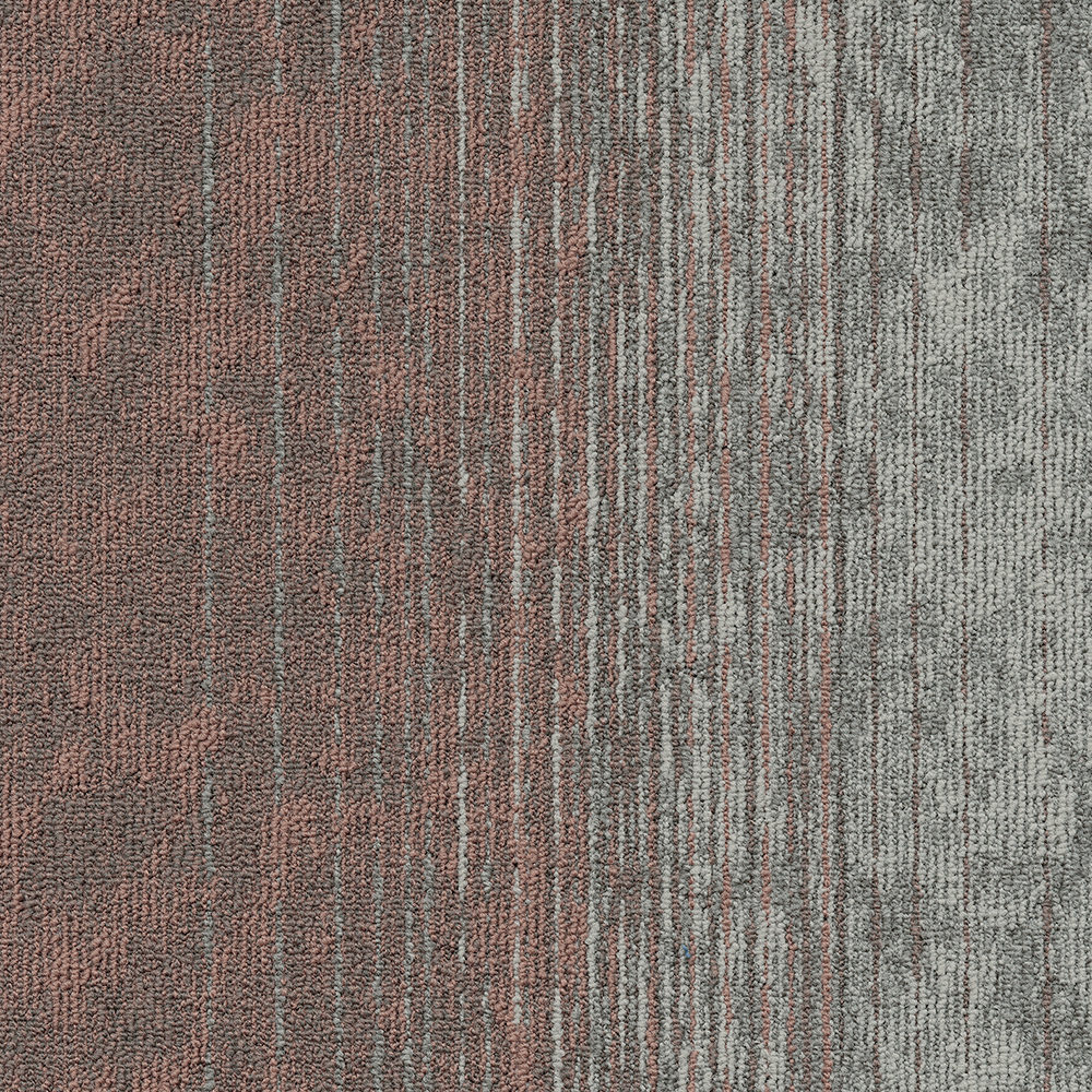 Beaulieu Canada hospitality,pro,workspace,all Carpet Motion t34m