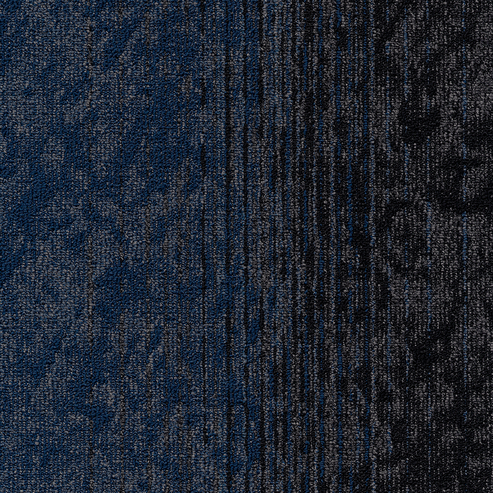 Beaulieu Canada hospitality,pro,workspace,all Carpet Motion t34m