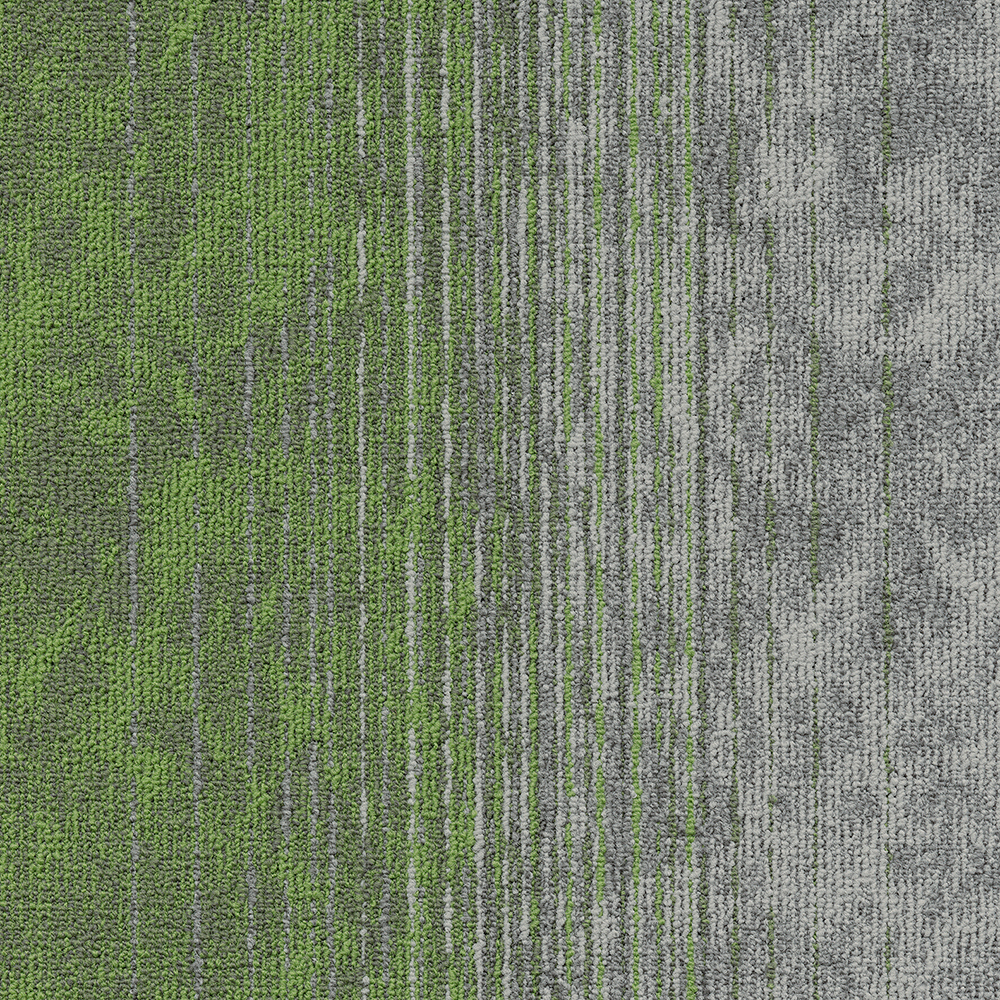 Beaulieu Canada hospitality,pro,workspace,all Carpet Motion t34m