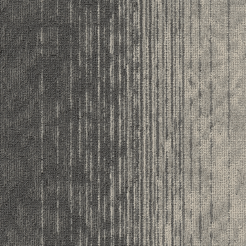Beaulieu Canada hospitality,pro,workspace,all Carpet Motion t34m