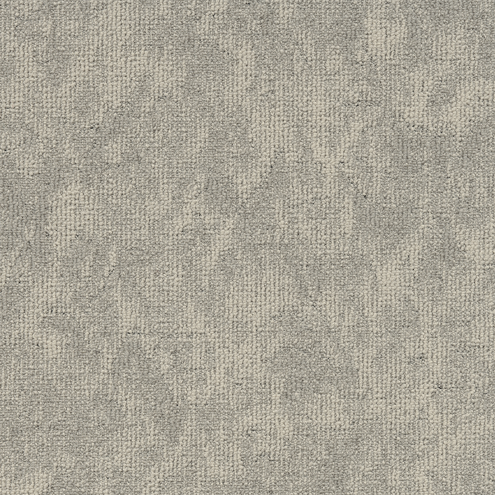 Beaulieu Canada hospitality,pro,workspace,all Carpet Vision t34v
