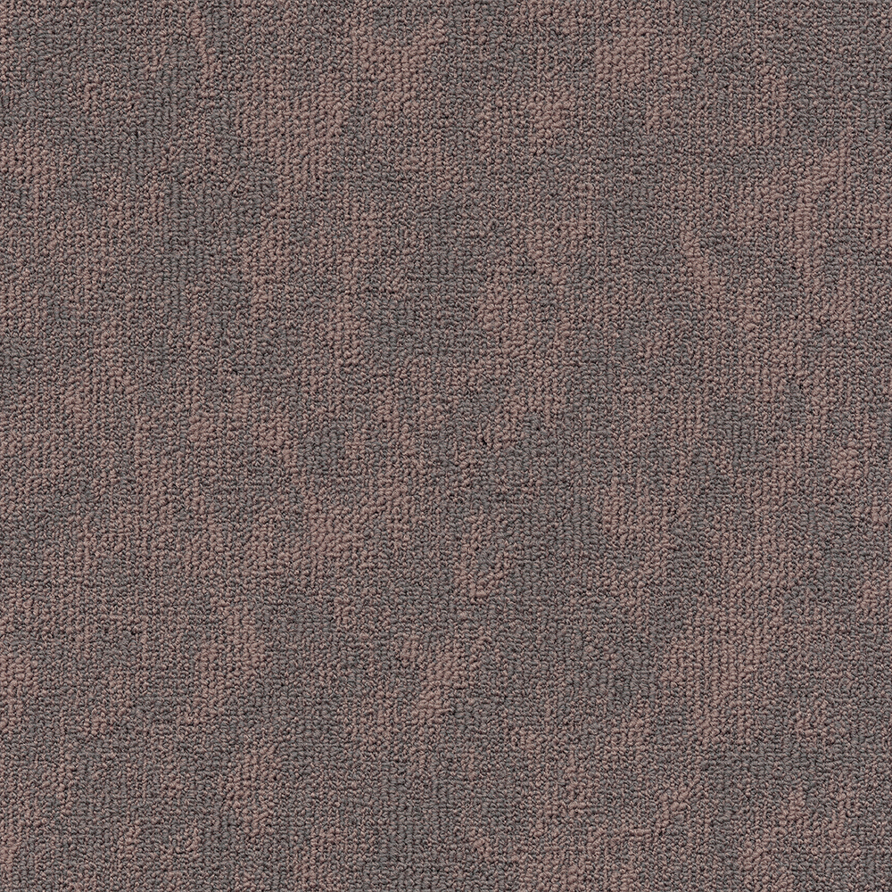 Beaulieu Canada hospitality,pro,workspace,all Carpet Vision t34v