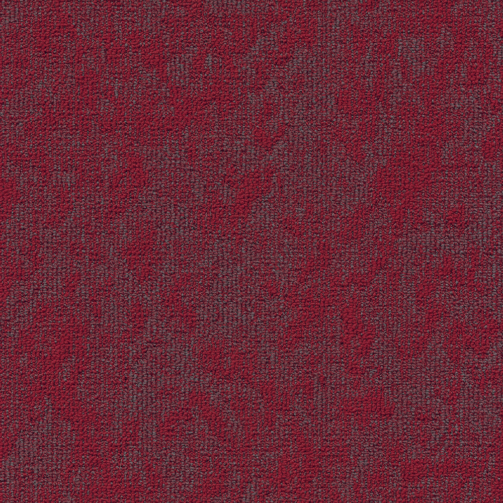 Beaulieu Canada hospitality,pro,workspace,all Carpet Vision t34v