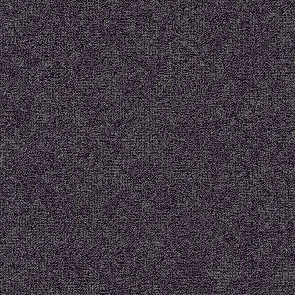 Beaulieu Canada hospitality,pro,workspace,all Carpet Vision t34v