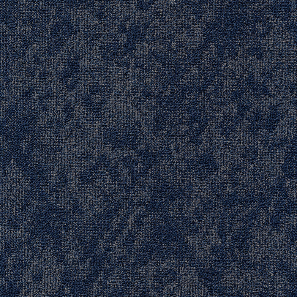Beaulieu Canada hospitality,pro,workspace,all Carpet Vision t34v