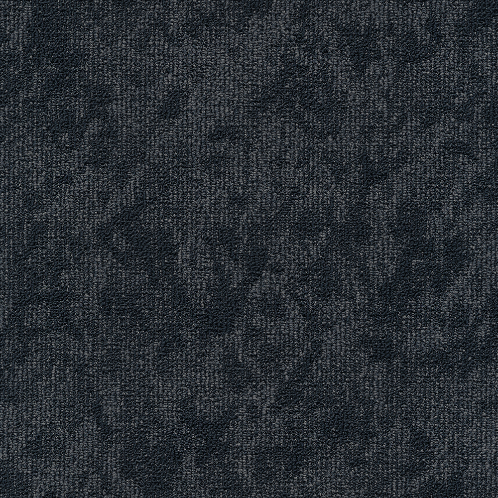 Beaulieu Canada hospitality,pro,workspace,all Carpet Vision t34v