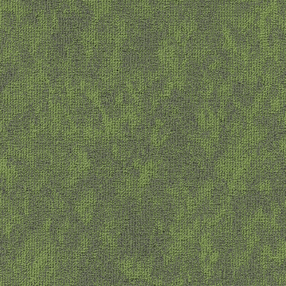 Beaulieu Canada hospitality,pro,workspace,all Carpet Vision t34v