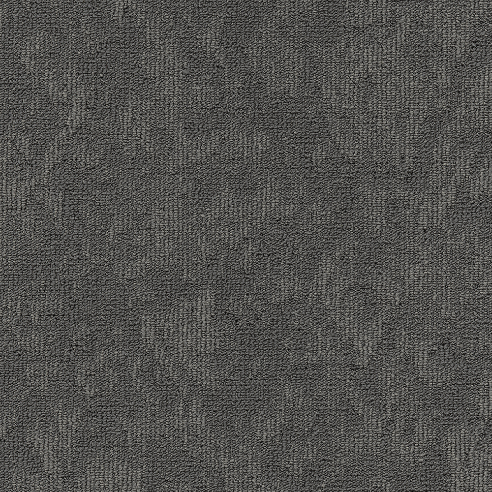 Beaulieu Canada hospitality,pro,workspace,all Carpet Vision t34v
