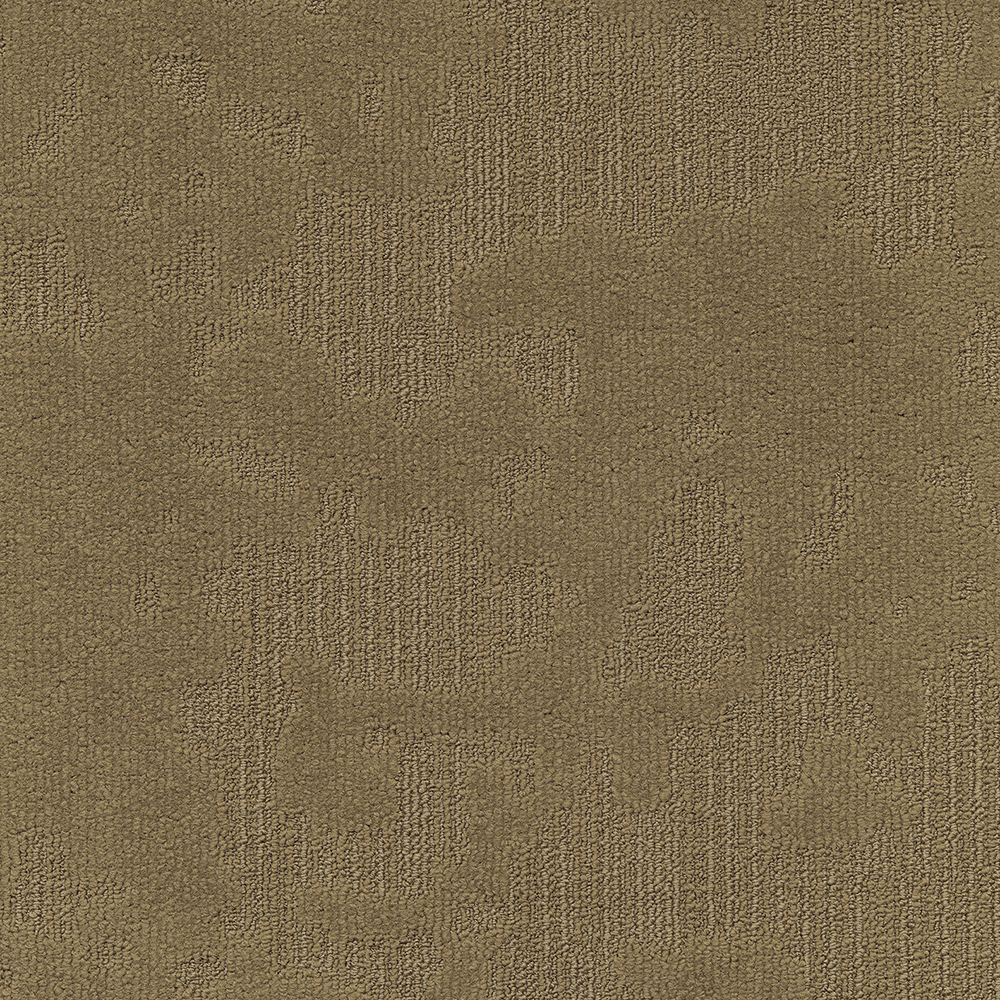 Beaulieu Canada hospitality,pro,workspace,all Carpet Velvet& t49