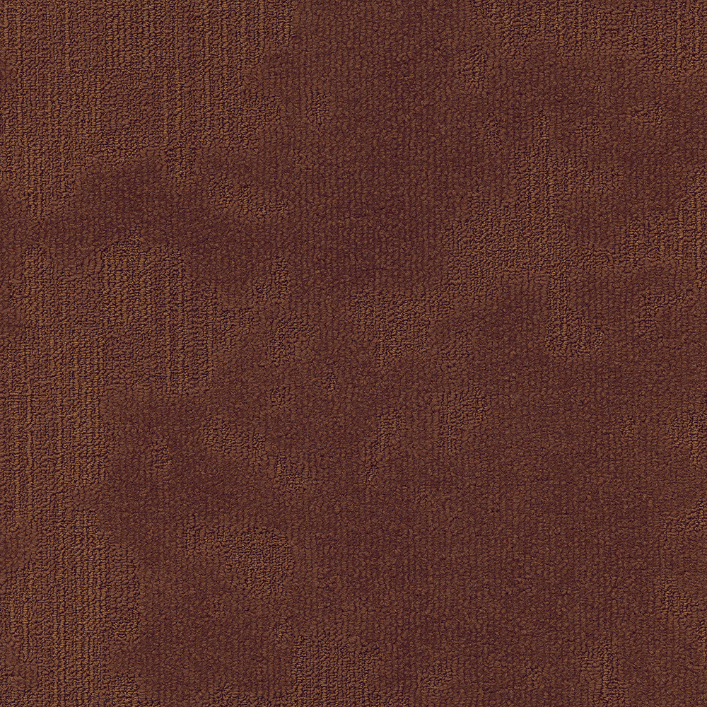 Beaulieu Canada hospitality,pro,workspace,all Carpet Velvet& t49