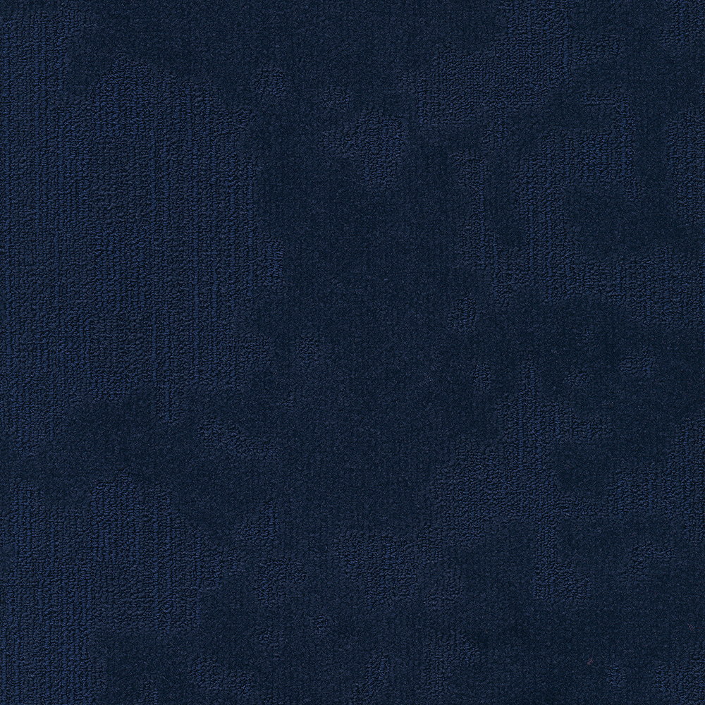 Beaulieu Canada hospitality,pro,workspace,all Carpet Velvet& t49