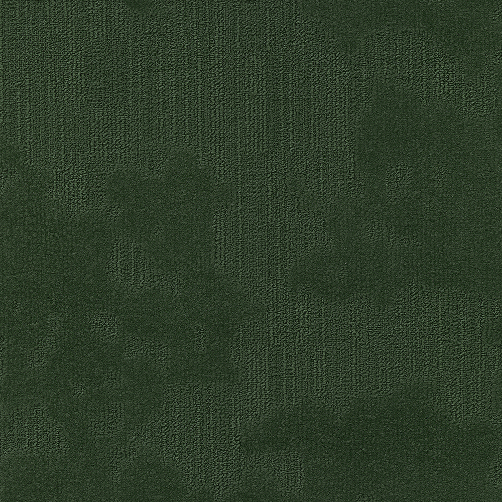 Beaulieu Canada hospitality,pro,workspace,all Carpet Velvet& t49