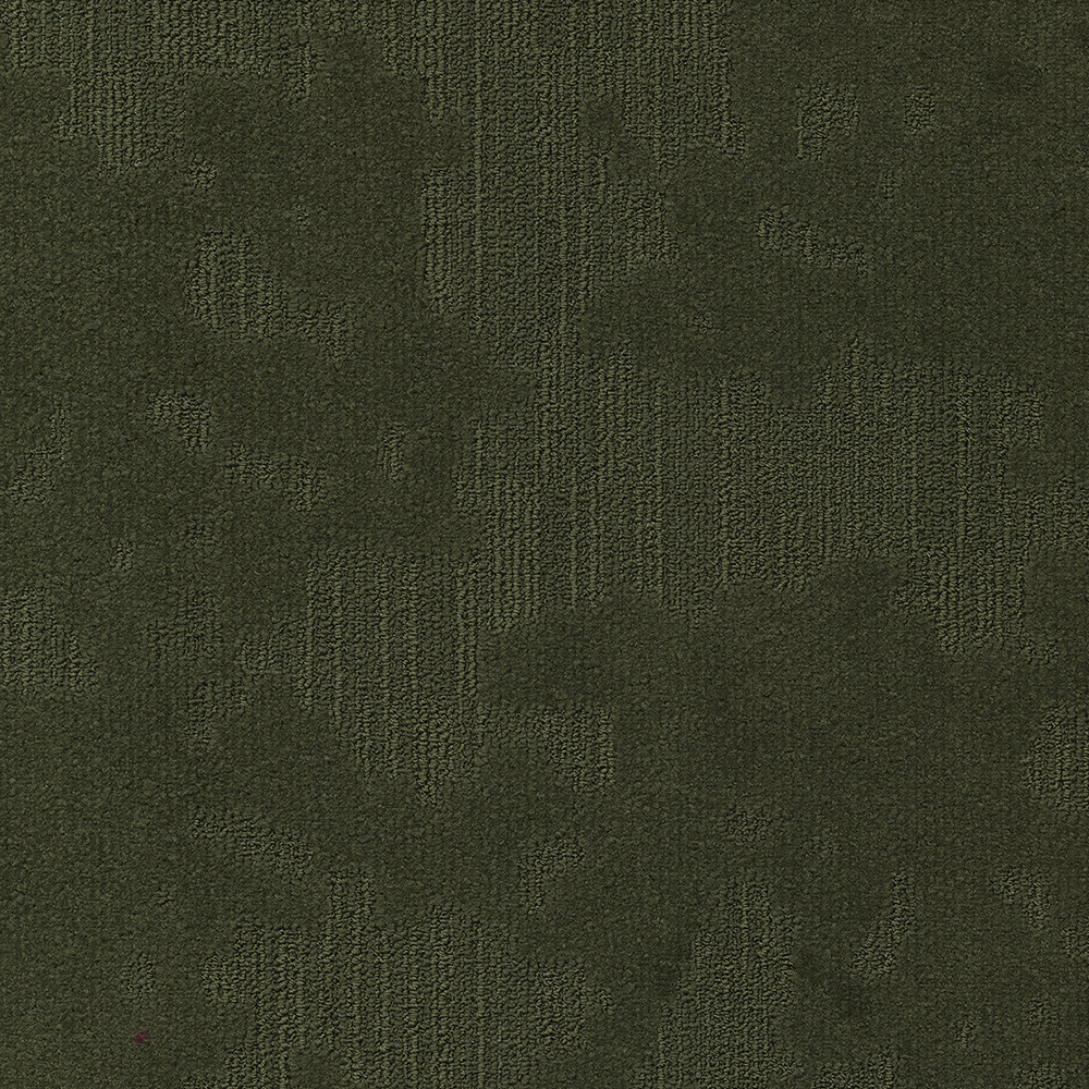 Beaulieu Canada hospitality,pro,workspace,all Carpet Velvet& t49