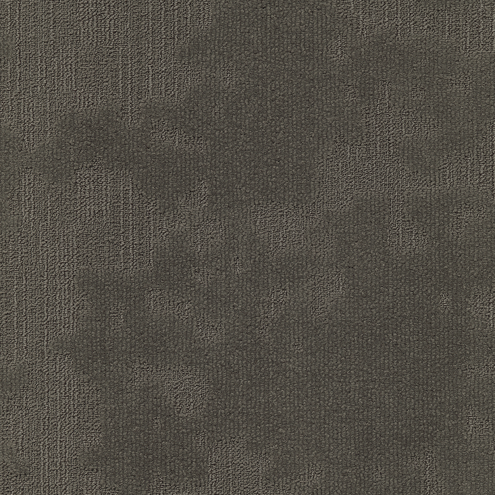 Beaulieu Canada hospitality,pro,workspace,all Carpet Velvet& t49