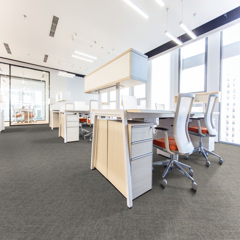 Beaulieu Canada Workspace Carpet Diversion tdiv