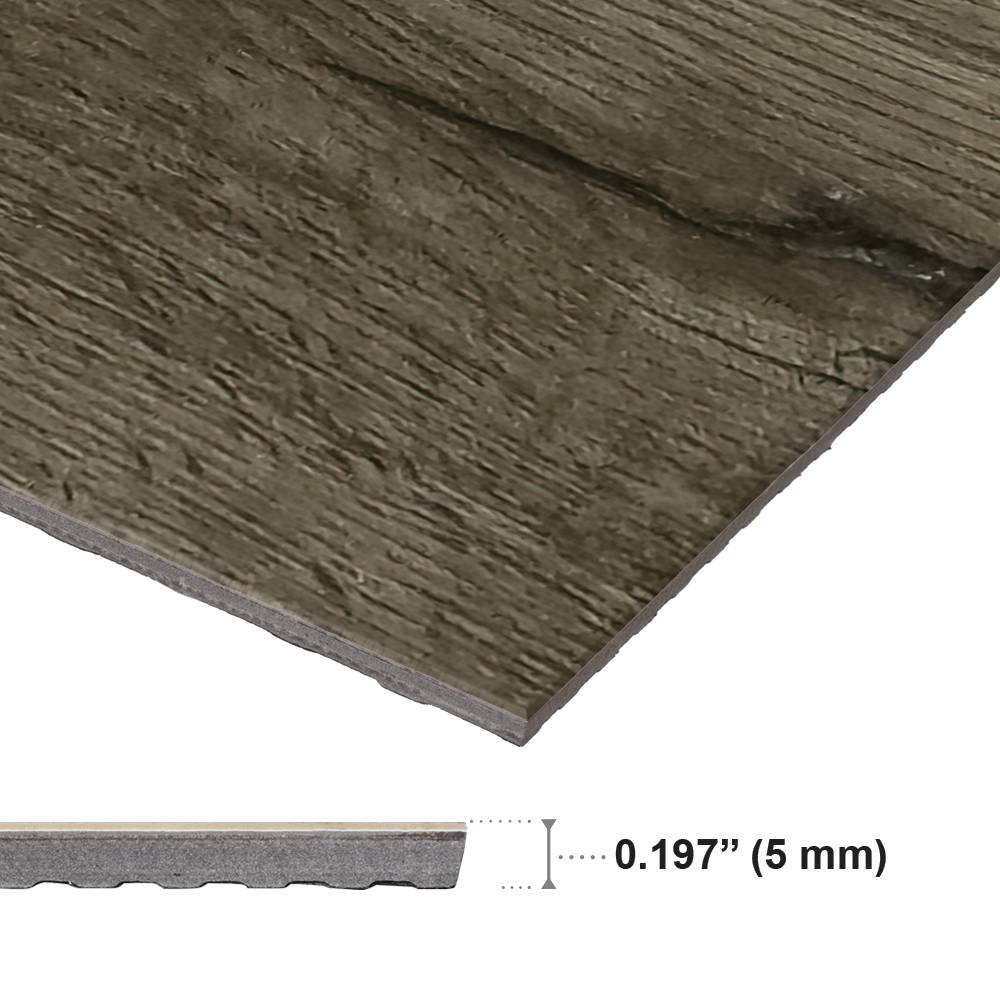 Lucca #2095 - Rapido