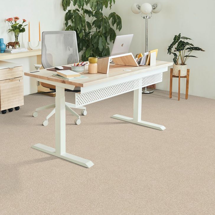 Beaulieu Canada Pro Tapis Ambiance chaleureuse j4976