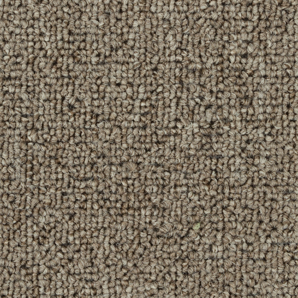 Beaulieu Canada pro,property-management,residential,all Tapis Invasion V 18 j7033